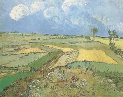 Vincent Van Gogh Wheat Fields at Auvers under Clouded Sky (nn04)